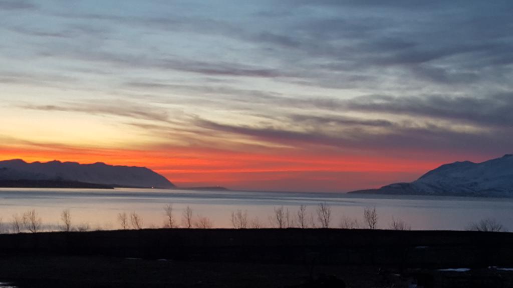 Hótel Sveinbjarnargerdi Akureyri Exterior foto